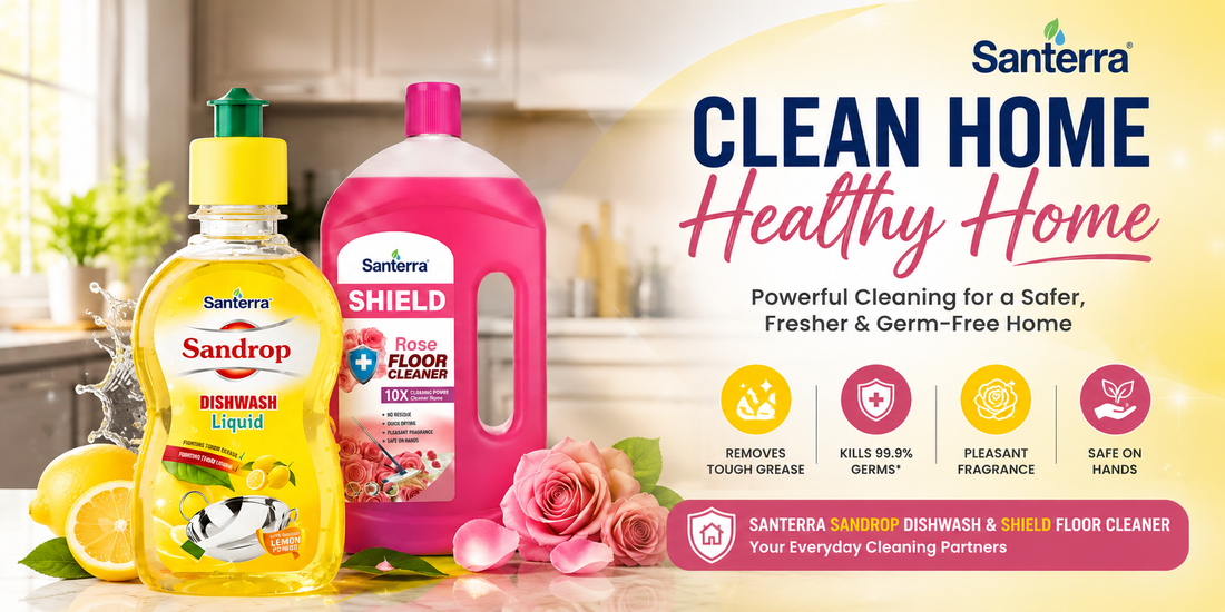 Complete Home Hygiene Guide: How to Keep Your Home Germ-Free in India