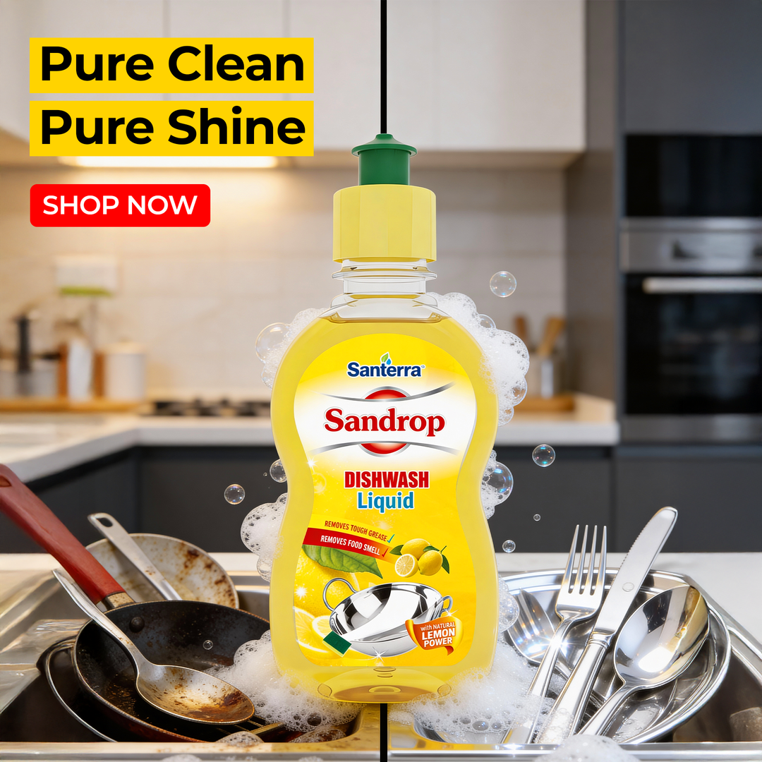 Santerra Sandrop Dishwash Liquid Lemon 250 ml
