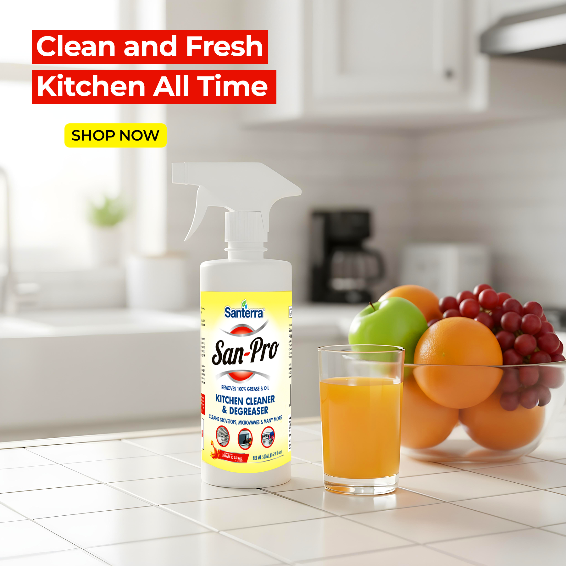 Santerra Kitchen Cleaner Spray 250 ml