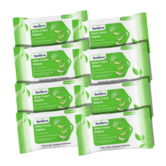 Santerra Aloe Vera & Mint Face Wipes 20 Wipes