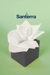 Paper Napkin